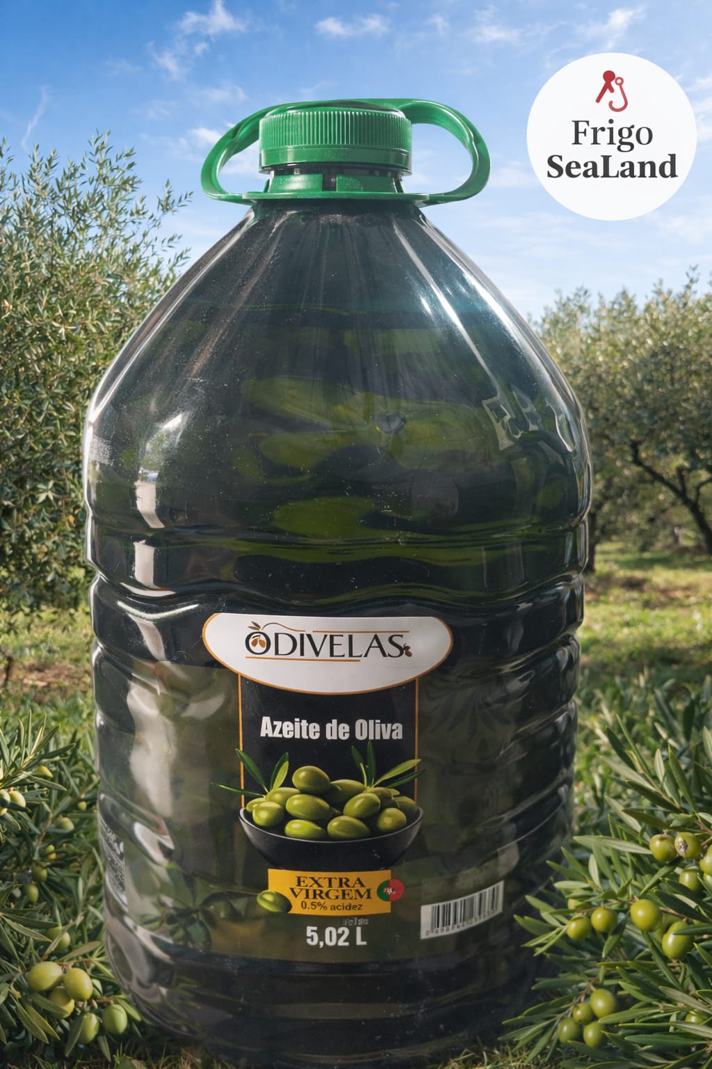 Azeite de Oliva Odivelas 5L