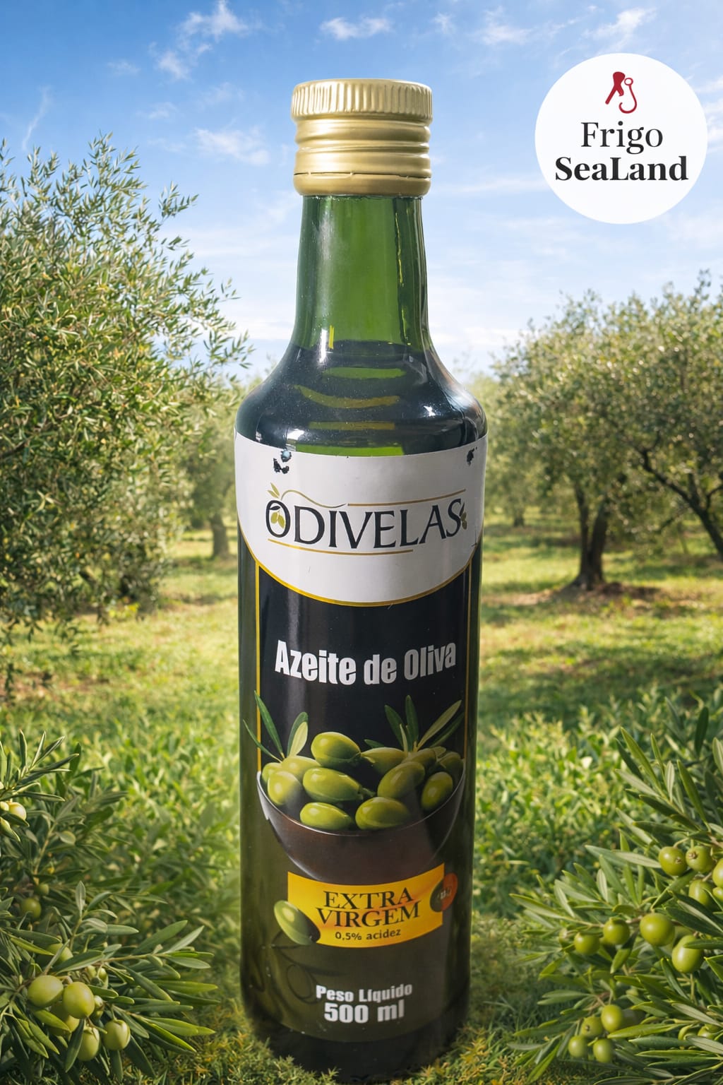 Azeite de Oliva Odivelas