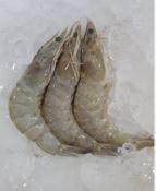 Camarão inteiro fresco 30g