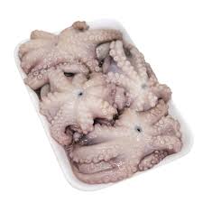 Polvo pequeno congelado