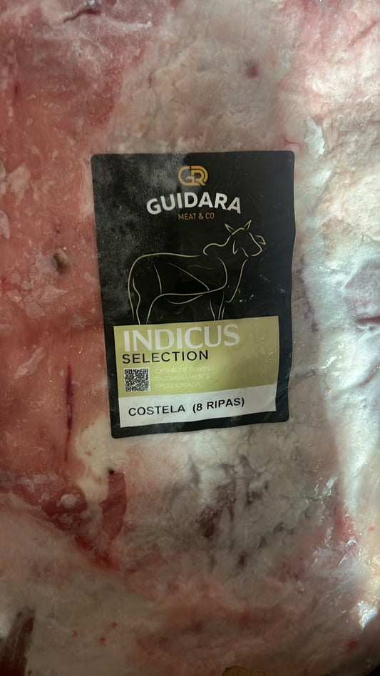 Costela 8 ripas indicus Guidara