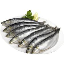Sardinha congelada