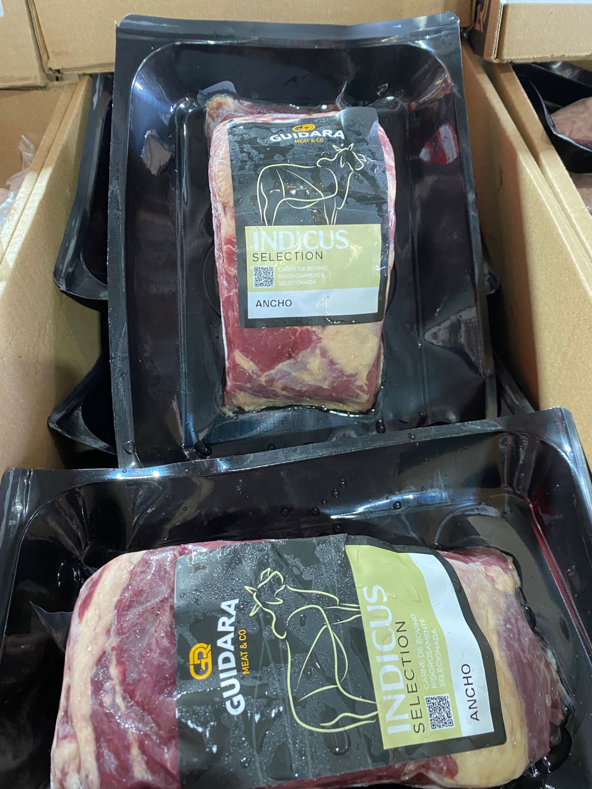ANCHO ANGUS INDICUS GUIDARA